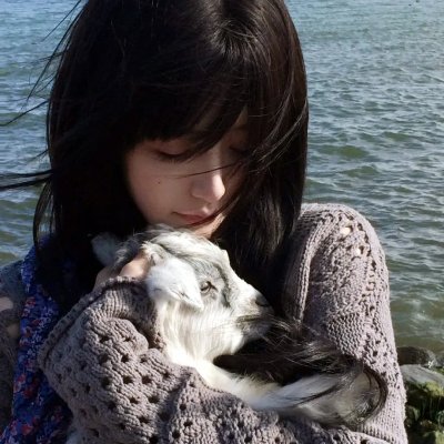 女鲁滨孙漂流记
